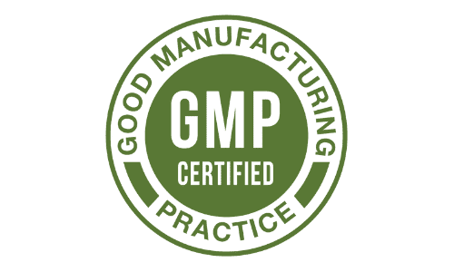 invigorise gmp certified